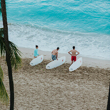 Three people holding surfboards stand on a sandy beach near the shoreline preparing to enter the turquoise ocean with palm trees framing the scene.