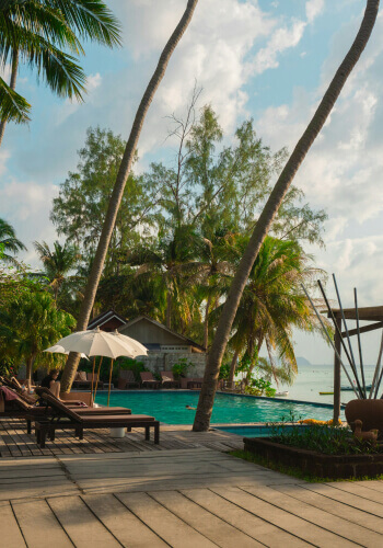 Lounge chairs and umbrellas are set up beside a tropical pool surrounded by palm trees and wooden decking with a view of the ocean in the distance.